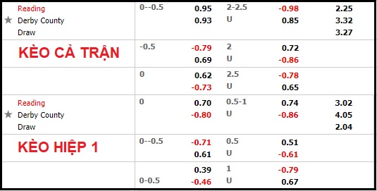 Nhận định soi kèo Reading vs Derby County, 22h ngày 3/1 - Ảnh 1