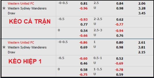 Nhận định soi kèo Western United vs WS Wanderers, 14h35 ngày 20/2 - Ảnh 1