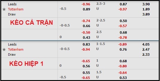 Nhận định soi kèo Leeds vs Tottenham, 19h30 ngày 26/2 - Ảnh 1