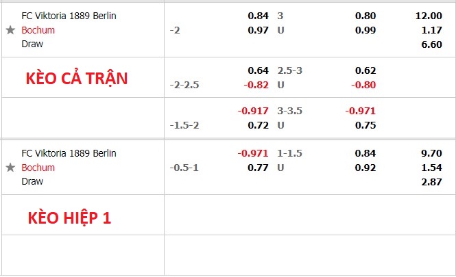 Soi kèo bóng đá Đức hôm nay 30/7: Viktoria Berlin vs Bochum - Ảnh 1