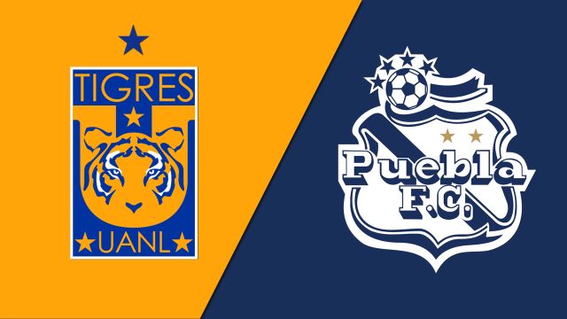 Nhận định, soi kèo Tigres UANL vs Puebla, 10h10 ngày 8/5 - Ảnh 1