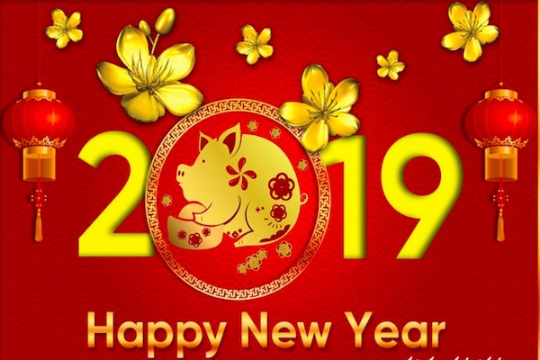 Tổng hợp sticker chúc mừng năm mới 2019 Tết Kỷ Hợi gây sốt Facebook