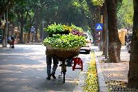 Thời tiết du lịch ngày mai 25/7: Đà Nẵng, Nha Trang, Phú Quốc, Đà Lạt