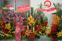 Những lời chúc 20/11 hài hước, sáng tạo nhất gửi tặng thầy cô giáo