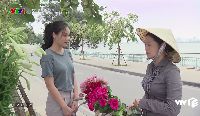 Lịch phát sóng Về nhà đi con tập 50 trên VTV3: Chuyện tình éo le của ông Sơn cô Hạnh đi về đâu?