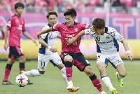 Nhận định, soi kèo Nagoya Grampus vs Cerezo Osaka, 11h05 ngày 30/10