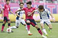 Nhận định, soi kèo Yokohama F Marinos vs Cerezo Osaka, 12h ngày 19/2