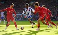 Nhận định soi kèo Liverpool vs Brighton, 21h ngày 1/10