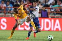 Nhận định, soi kèo Pachuca vs Tigres UANL, 9h06 ngày 17/10