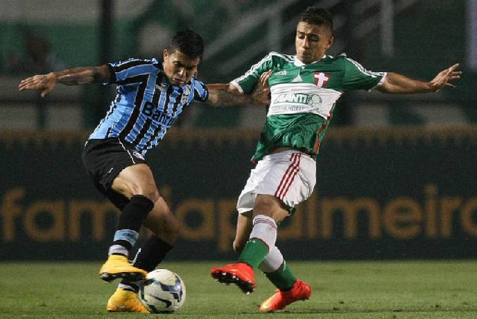 Nhận định soi kèo Palmeiras vs Gremio, 7h30 ngày 16/1