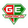 Gremio Osasco Youth